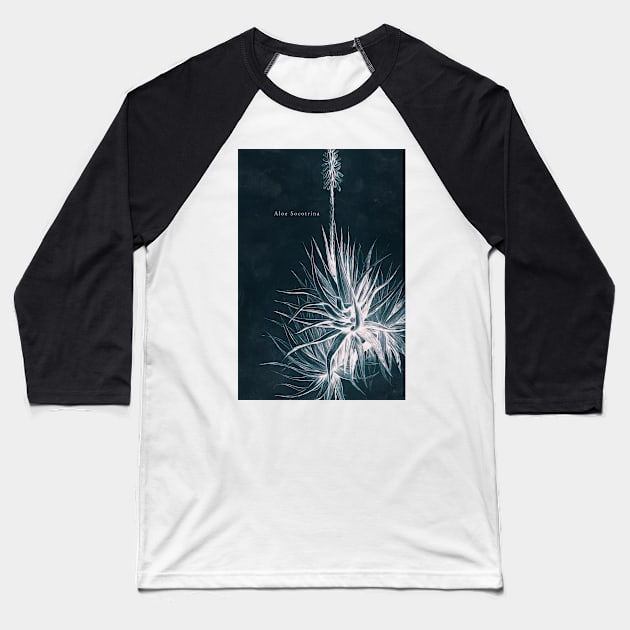 Cyanotype - Aloe Socotrina - C Baseball T-Shirt by PixelHunter